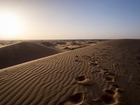 Morocco Desert Landscape: A Beautiful Day in the Sands