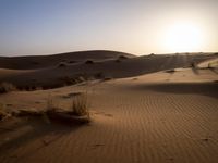 Morocco Desert Landscape: A Beautiful Day in the Sands