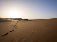 Morocco Desert Landscape: A Beautiful Day in the Sands