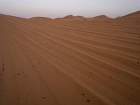 a desert with small mounds in the middle of it, with sparse soil and small dots