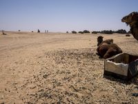 Morocco Desert Road: A Journey Through Sand Dunes