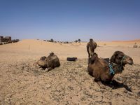 Morocco Desert Road: A Journey Through Sand Dunes