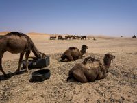 Morocco Desert Road: A Journey Through Sand Dunes