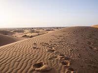 footprints and prints are in the sand dunes outside the sun, while a bright blue sky appears above