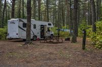 an rv parked in the woods by a table and some trees and bushes with trees around it