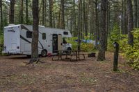 an rv parked in the woods by a table and some trees and bushes with trees around it