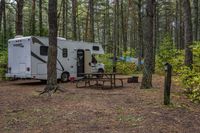 an rv parked in the woods by a table and some trees and bushes with trees around it