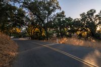 a motorcycle is driving down the road by a bunch of trees at dusk on a clear day