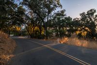 a motorcycle is driving down the road by a bunch of trees at dusk on a clear day