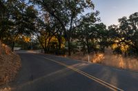 a motorcycle is driving down the road by a bunch of trees at dusk on a clear day