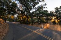 a motorcycle is driving down the road by a bunch of trees at dusk on a clear day