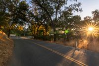 a motorcycle is driving down the road by a bunch of trees at dusk on a clear day