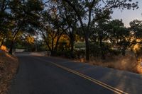 a motorcycle is driving down the road by a bunch of trees at dusk on a clear day