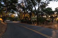 a motorcycle is driving down the road by a bunch of trees at dusk on a clear day