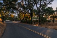 a motorcycle is driving down the road by a bunch of trees at dusk on a clear day