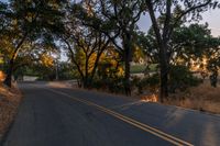 a motorcycle is driving down the road by a bunch of trees at dusk on a clear day