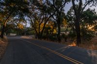 a motorcycle is driving down the road by a bunch of trees at dusk on a clear day