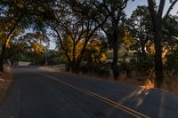 a motorcycle is driving down the road by a bunch of trees at dusk on a clear day