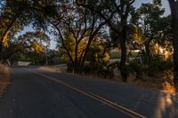 a motorcycle is driving down the road by a bunch of trees at dusk on a clear day