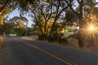 a motorcycle is driving down the road by a bunch of trees at dusk on a clear day