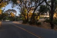 a motorcycle is driving down the road by a bunch of trees at dusk on a clear day