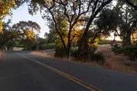 a motorcycle is driving down the road by a bunch of trees at dusk on a clear day