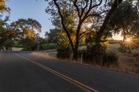 a motorcycle is driving down the road by a bunch of trees at dusk on a clear day