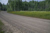 a motorcycle parked on the side of a dirt road next to some trees and yellow flowers