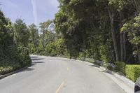 a person on a motorcycle rides down the road near some bushes and trees, passing by cars