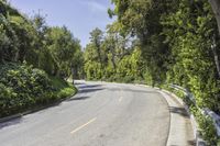 a person on a motorcycle rides down the road near some bushes and trees, passing by cars