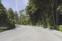 a person on a motorcycle rides down the road near some bushes and trees, passing by cars