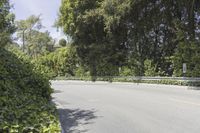 a person on a motorcycle rides down the road near some bushes and trees, passing by cars