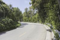 a person on a motorcycle rides down the road near some bushes and trees, passing by cars