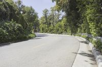 a person on a motorcycle rides down the road near some bushes and trees, passing by cars