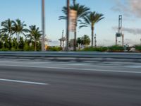 a person riding a motorcycle down a road near palm trees on the other side of the road