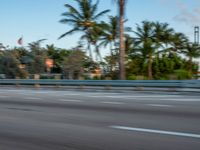 a person riding a motorcycle down a road near palm trees on the other side of the road