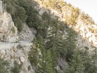 a person riding a motorcycle on a rock road next to trees and mountains with cliff cliffs