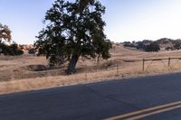 a man riding a motorcycle down the road by a fence in the middle of a field