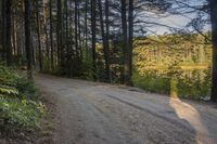 a man is riding his motorcycle down a gravel road beside a river in the woods