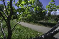 a motorcycle is riding along a narrow road with greenery in the background on a sunny day