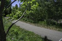 a motorcycle is riding along a narrow road with greenery in the background on a sunny day