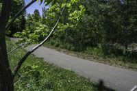 a motorcycle is riding along a narrow road with greenery in the background on a sunny day