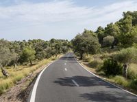 a motorcycle is traveling down a empty country road at an angle to a valley, surrounded by lush brush and trees