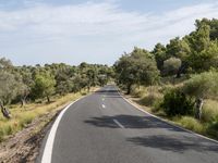 a motorcycle is traveling down a empty country road at an angle to a valley, surrounded by lush brush and trees