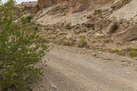 a person on a motorcycle on a gravel road with rocks and trees near them on the side