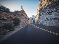 a road winding through a canyon of a mountain range, at sunset, in the distance is a small tree