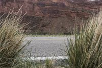 grass and shrubs surround a winding road by a mountain side in the desert area,