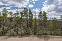 Mountain Forest Road in Rugged Landscape 001
