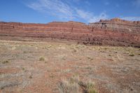 a lone red rock sits in the distance near a dry grass area and scrub area