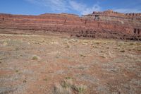 a lone red rock sits in the distance near a dry grass area and scrub area